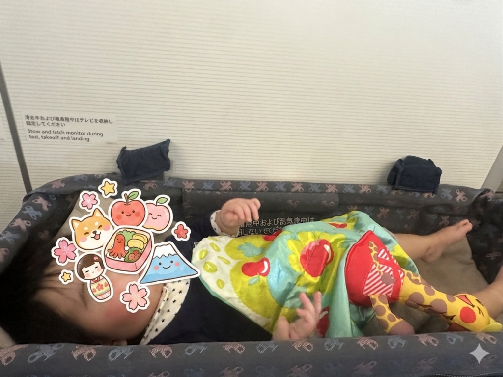 JAL機内のバシネットで眠る生後6ヶ月の赤ちゃん（ワンオペ・ドイツ便）